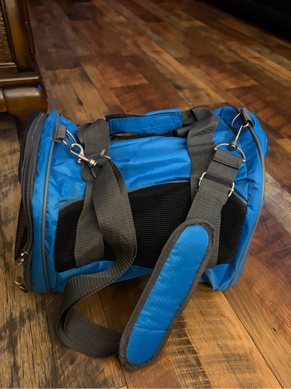 Small animal carrier